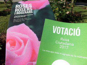 2017-rosas-concurso-13